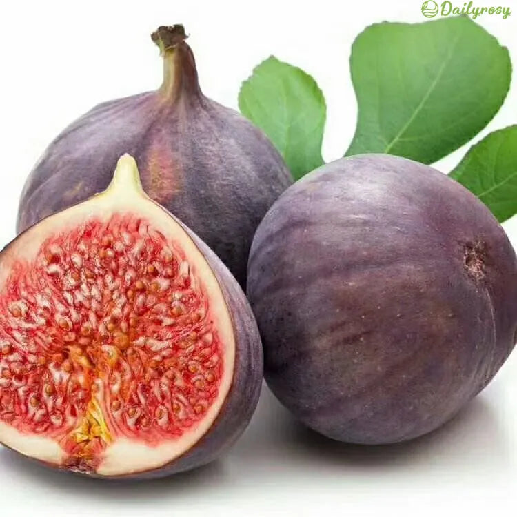 🍑Super obří fíková semínka – Broskvová sladkost v každém soustu! 🌟