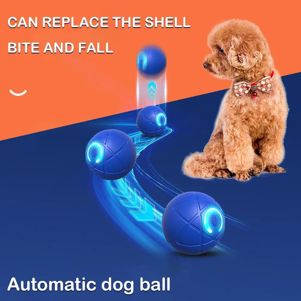 🎁Chytrý interaktivní skákací míč pro domácí mazlíčky🐶