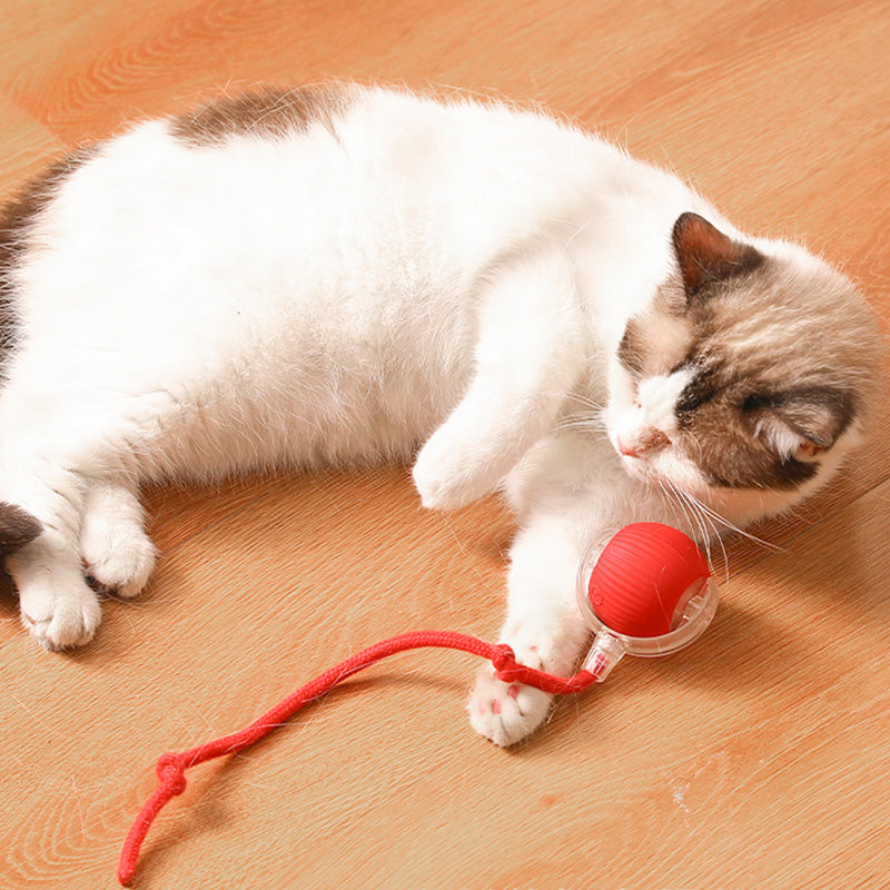 🐱 Udržování aktivity vašeho domácího mazlíčka 🐶 Inteligentní automatický kutálející se míč pro domácí mazlíčky
