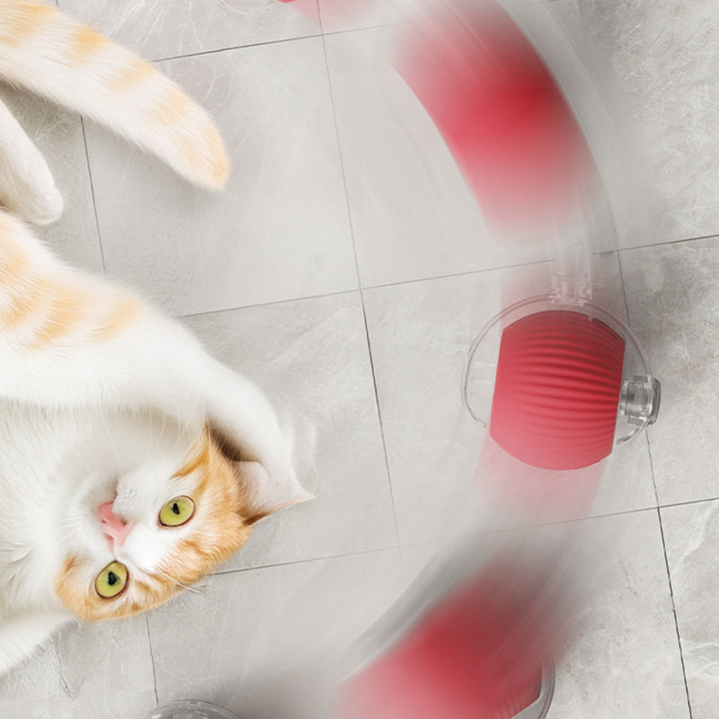 🐱 Udržování aktivity vašeho domácího mazlíčka 🐶 Inteligentní automatický kutálející se míč pro domácí mazlíčky