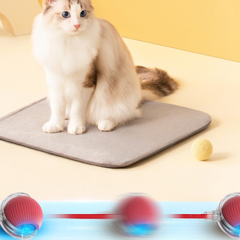 🐱 Udržování aktivity vašeho domácího mazlíčka 🐶 Inteligentní automatický kutálející se míč pro domácí mazlíčky